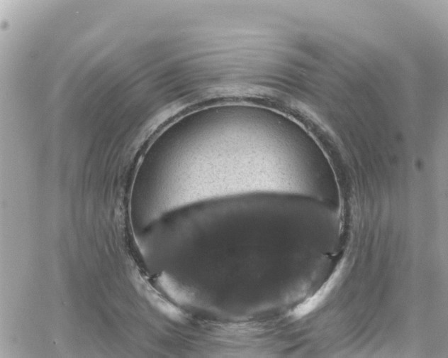 X0000066511025200603241301