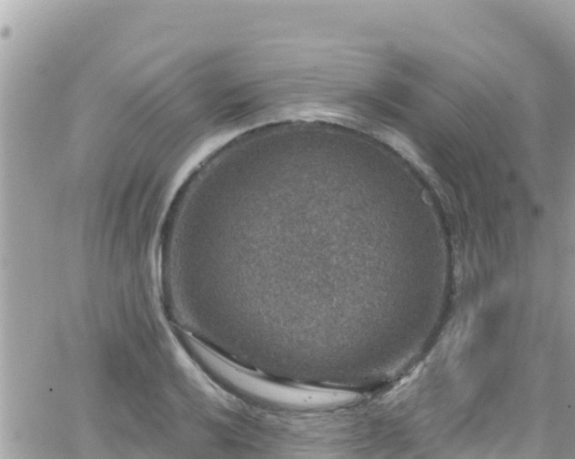 X0000066511032200603241301