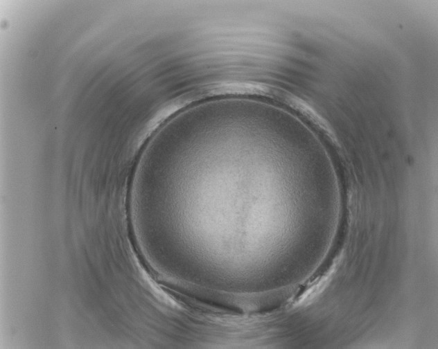 X0000066511033200603241301