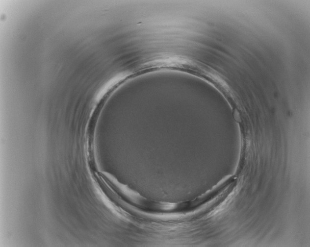 X0000066511034200603241301