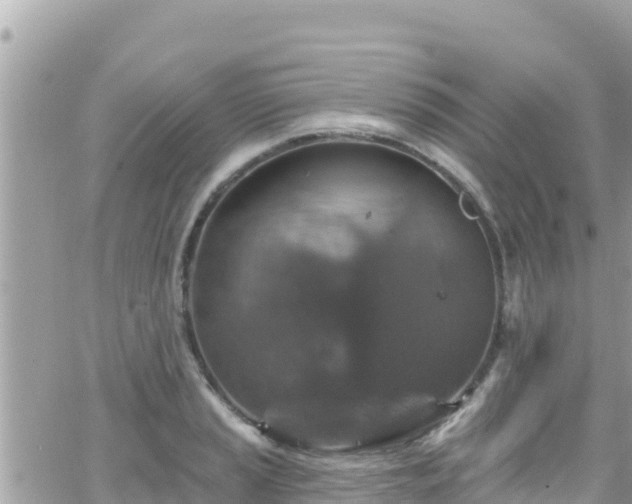 X0000066511037200603241301