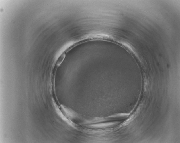 X0000066511038200603241301