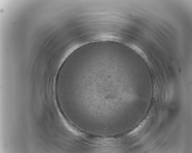 X0000066511039200603241301