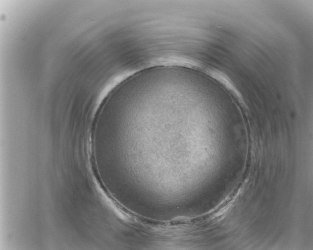 X0000066511040200603241301