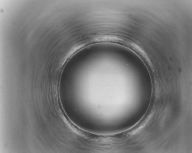 X0000066511041200603241301