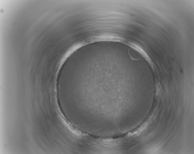 X0000066511043200603241301