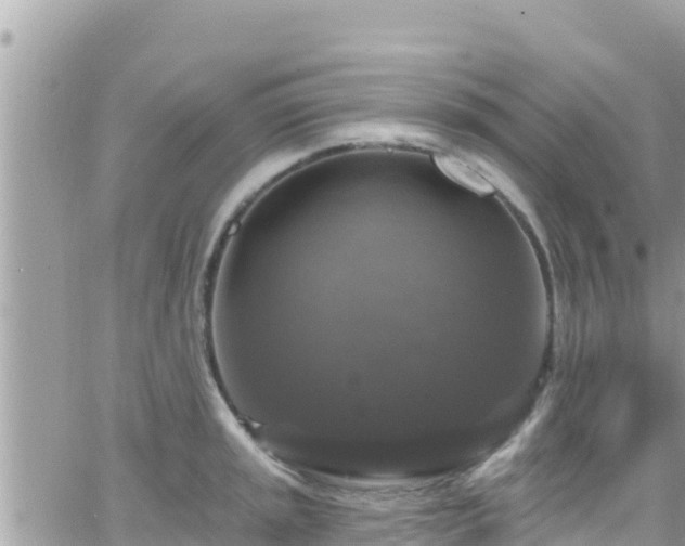 X0000066511045200603241301