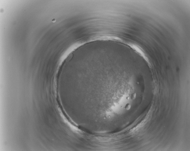 X0000066511046200603241302