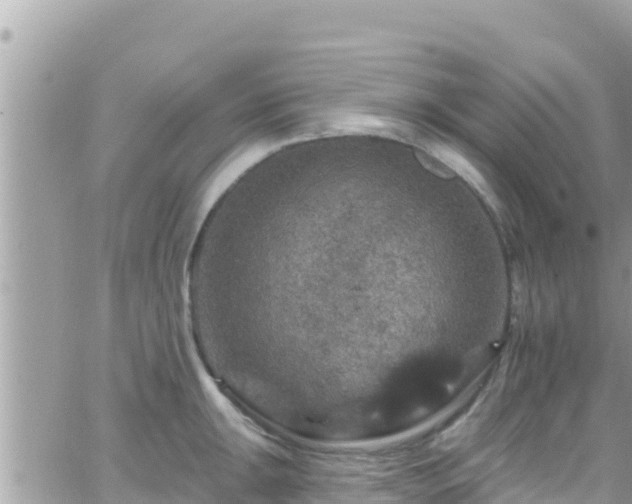 X0000066511047200603241302