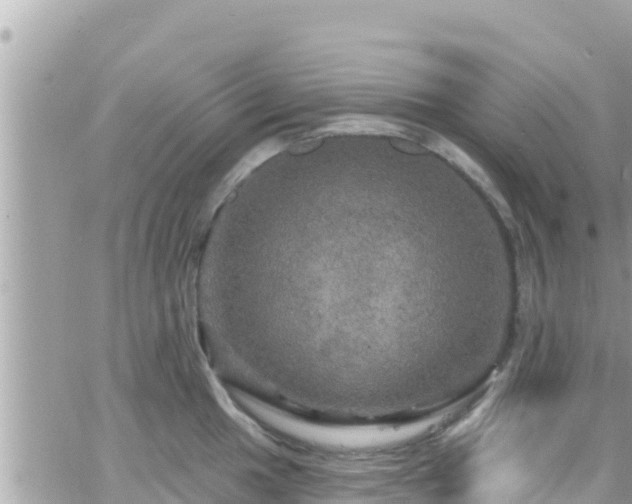 X0000066511049200603241302