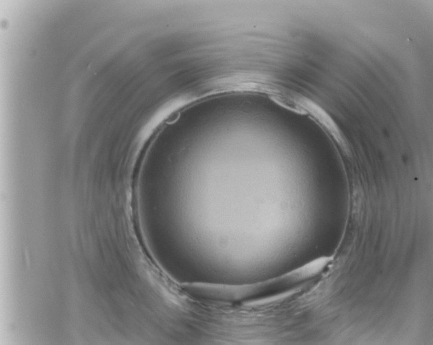 X0000066511051200603241302