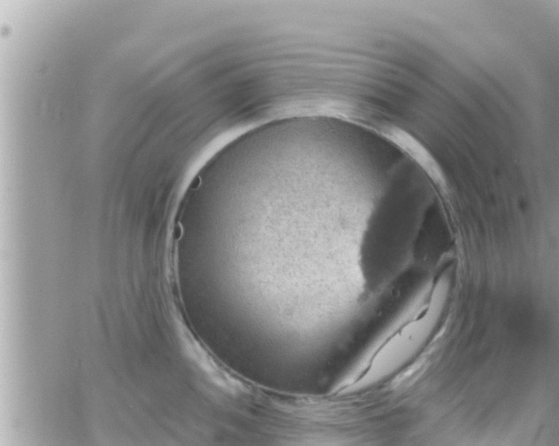 X0000066511052200603241302