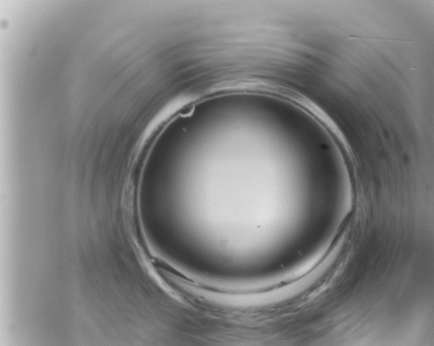 X0000066511053200603241302