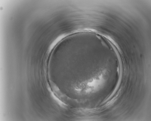 X0000066511054200603241302