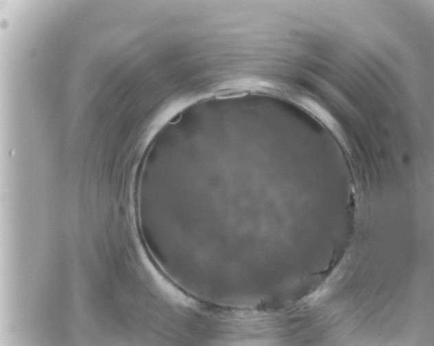 X0000066511055200603241302