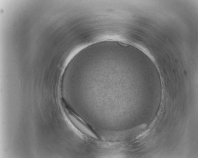 X0000066511056200603241302