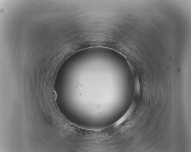 X0000066511057200603241301