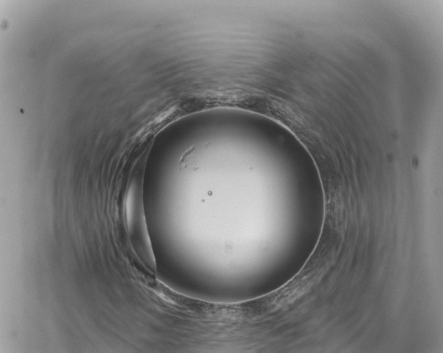 X0000066511058200603241301