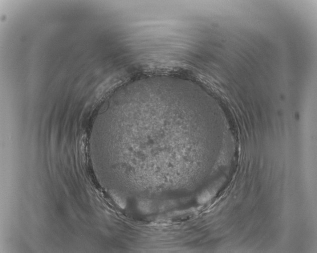 X0000066511059200603241301