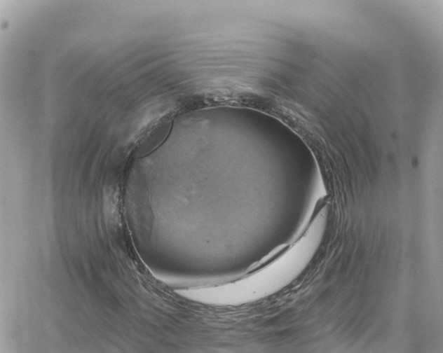 X0000066511060200603241301