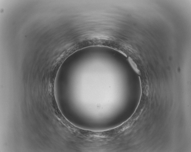 X0000066511061200603241301