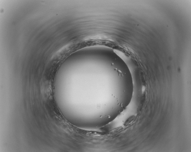 X0000066511062200603241301