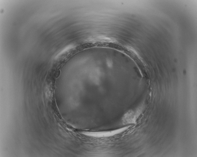 X0000066511063200603241301