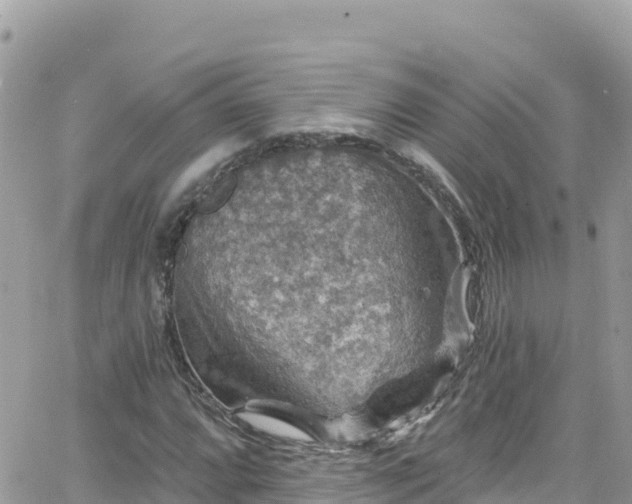 X0000066511064200603241301