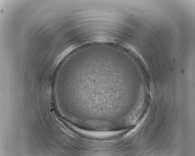 X0000066511065200603241301