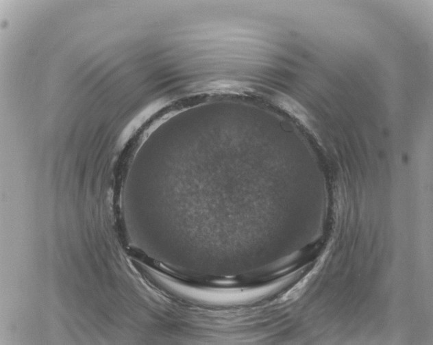 X0000066511066200603241301