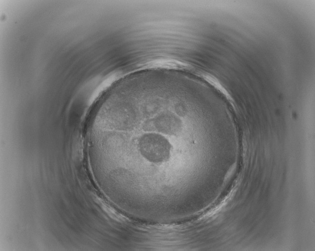 X0000066511067200603241301