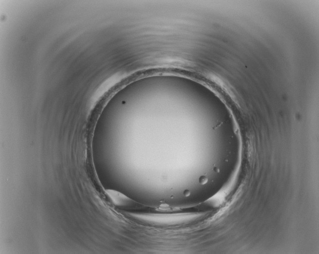 X0000066511069200603241301