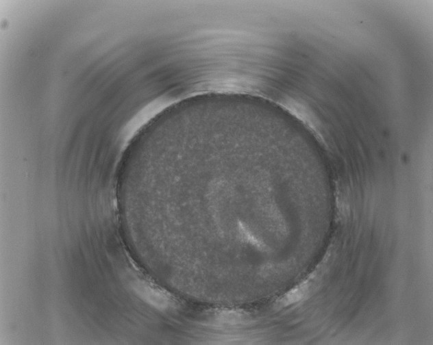 X0000066511070200603241301