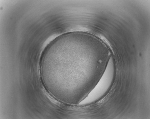 X0000066511072200603241301