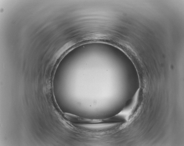 X0000066511073200603241301