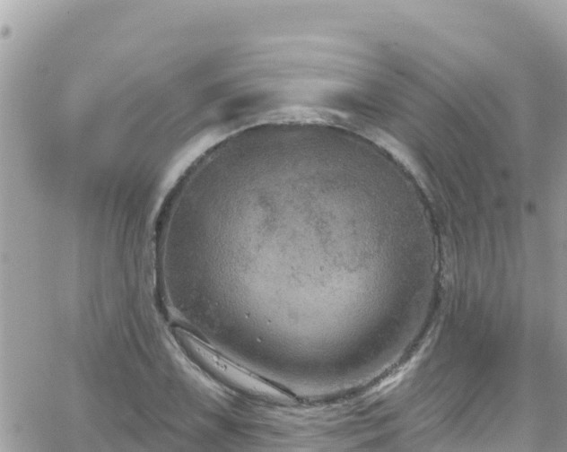 X0000066511075200603241301