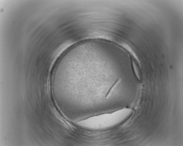 X0000066511076200603241301