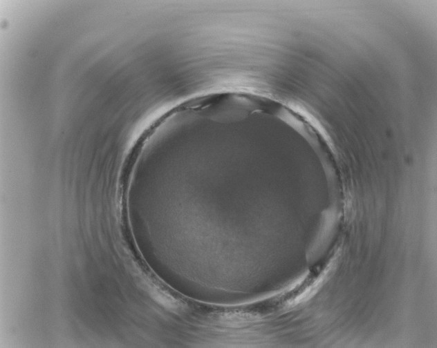 X0000066511077200603241301