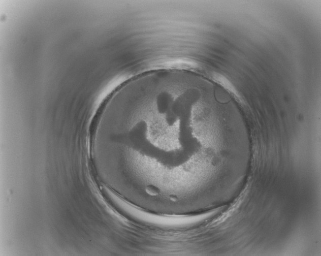 X0000066511079200603241301