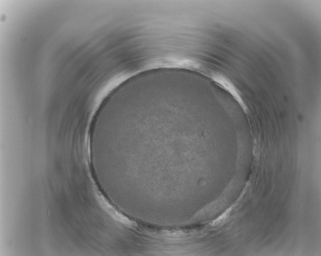 X0000066511080200603241301