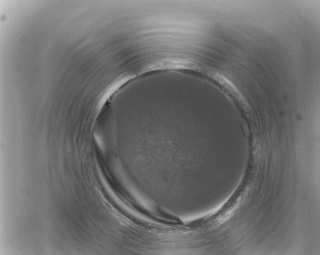 X0000066511081200603241301