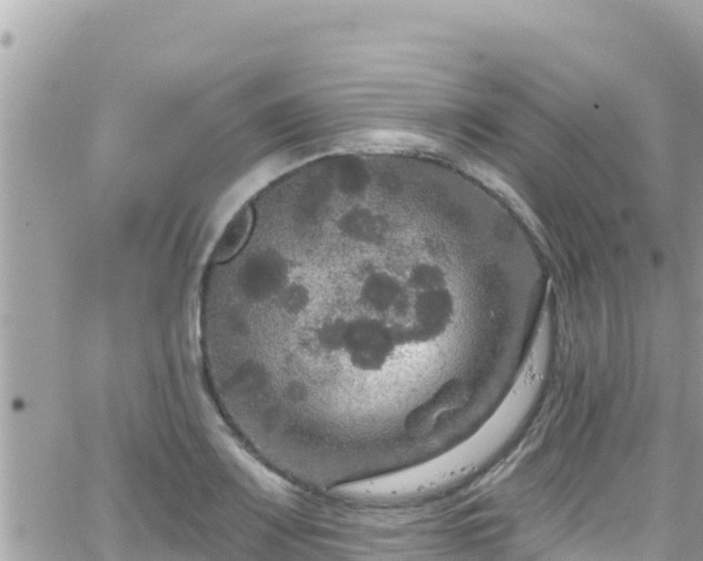 X0000066511083200603241300