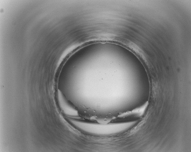 X0000066511085200603241300