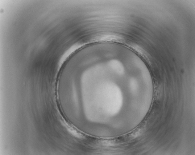 X0000066511086200603241300