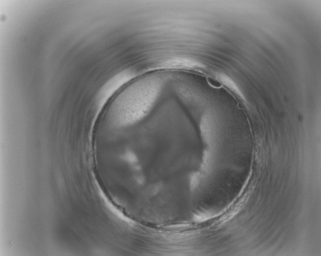 X0000066511087200603241300