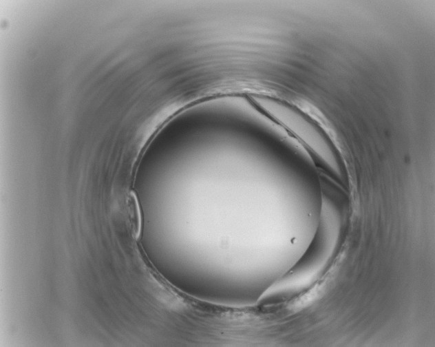 X0000066511089200603241300