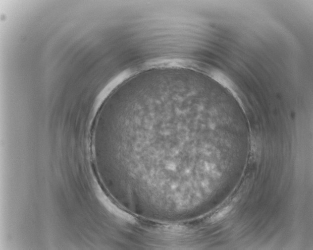 X0000066511090200603241300