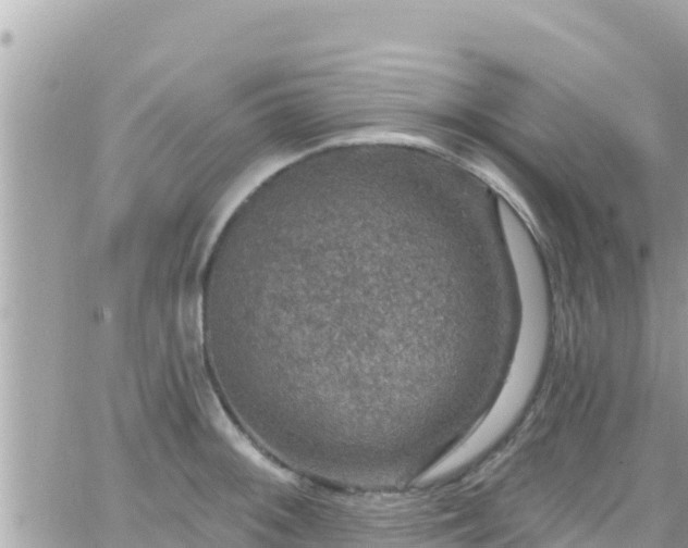 X0000066511092200603241300