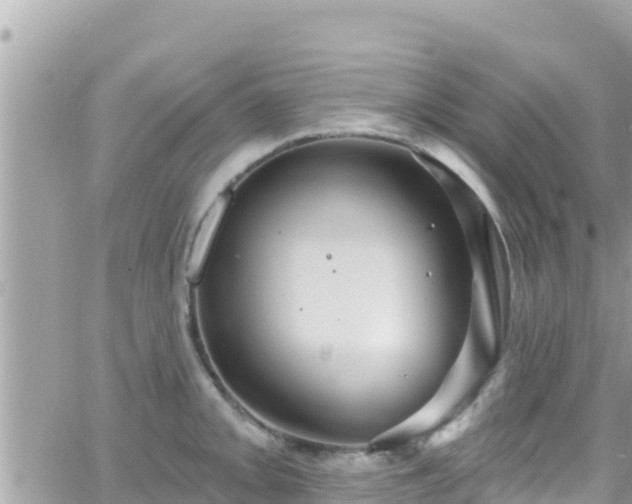 X0000066511093200603241300