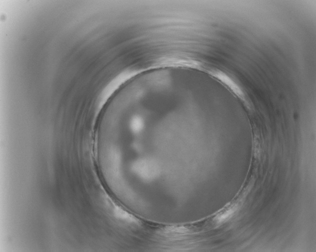 X0000066511094200603241300